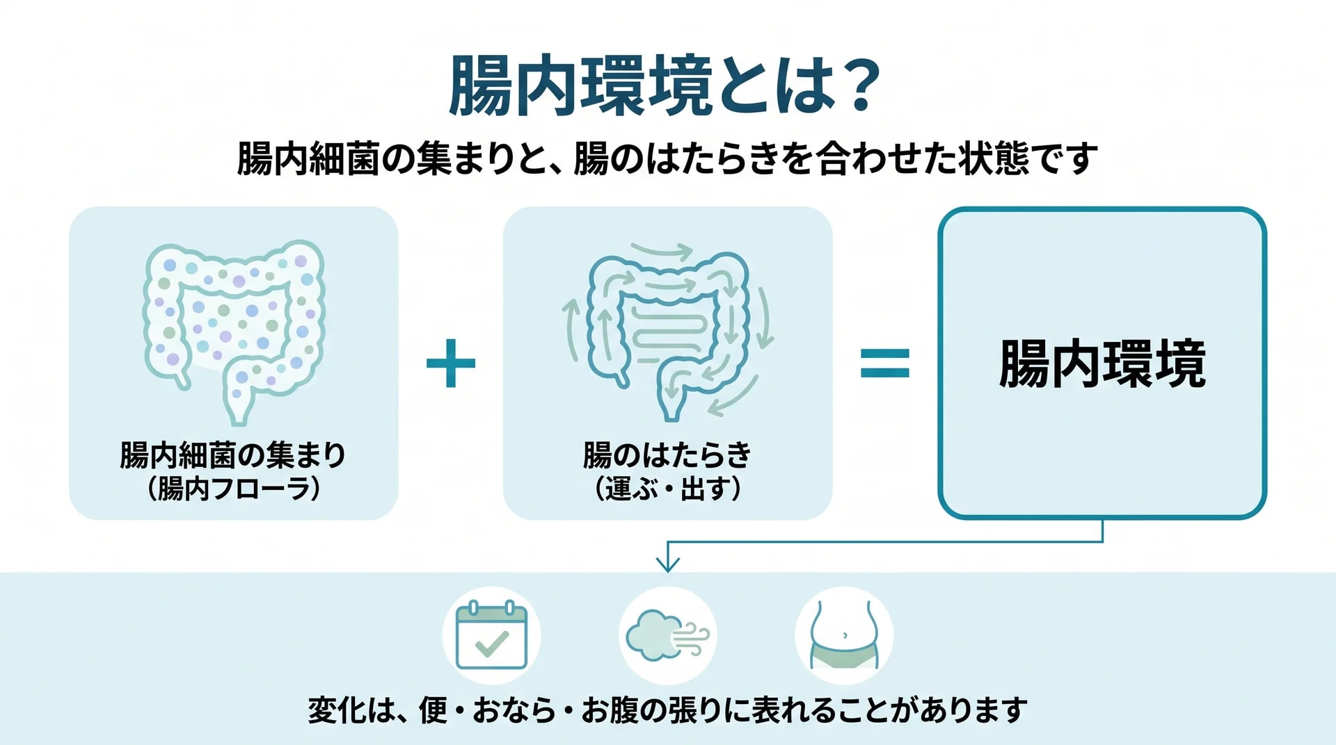 腸内環境を「腸内細菌の集まり（腸内フローラ）」と「腸のはたらき」の2つを合わせた状態として示し、その様子が便・おなら・お腹の張りといった毎日の変化に表れることがあると説明した図
