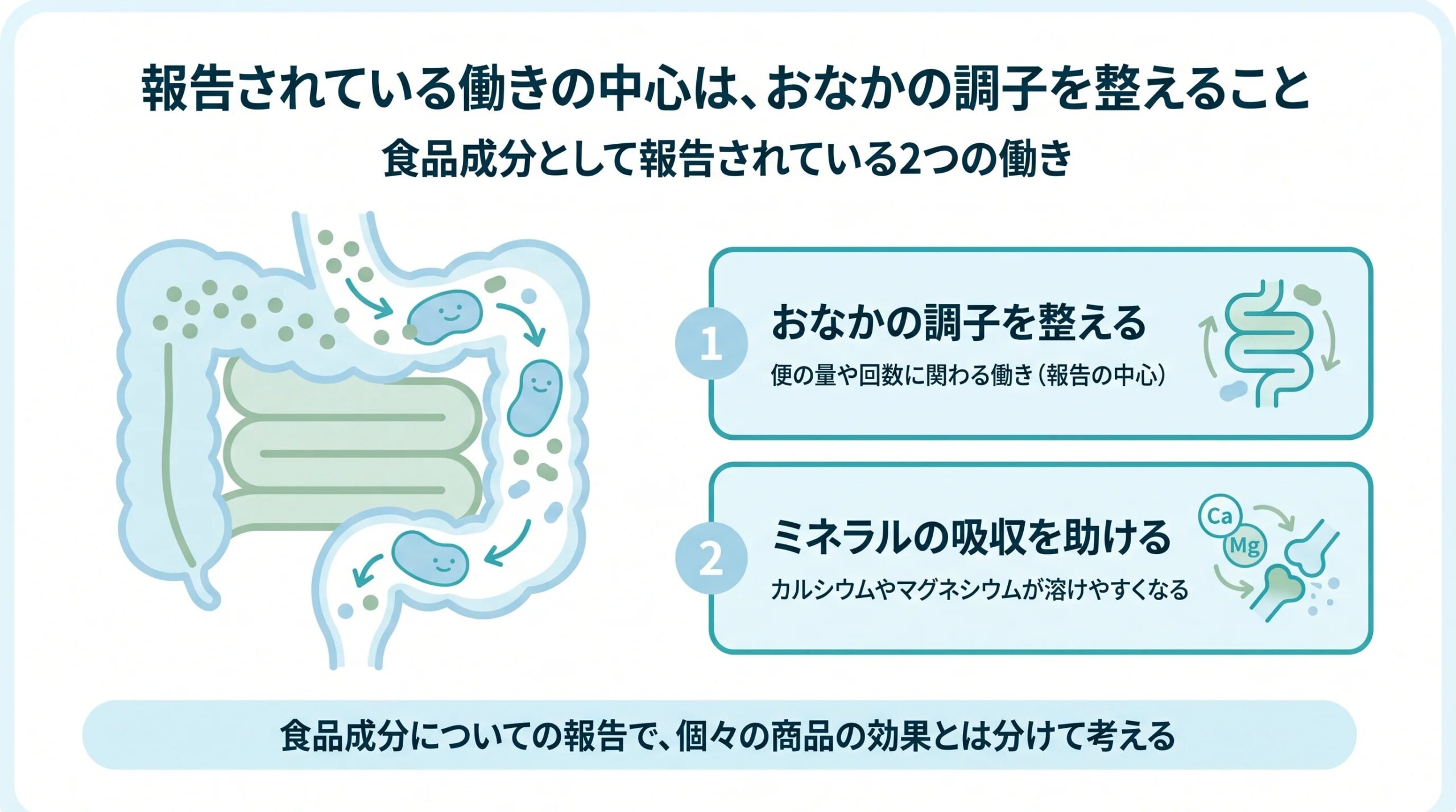 プレバイオティクスについて報告されている、おなかの調子を整える働きとミネラルの吸収を助ける働きを整理した図解