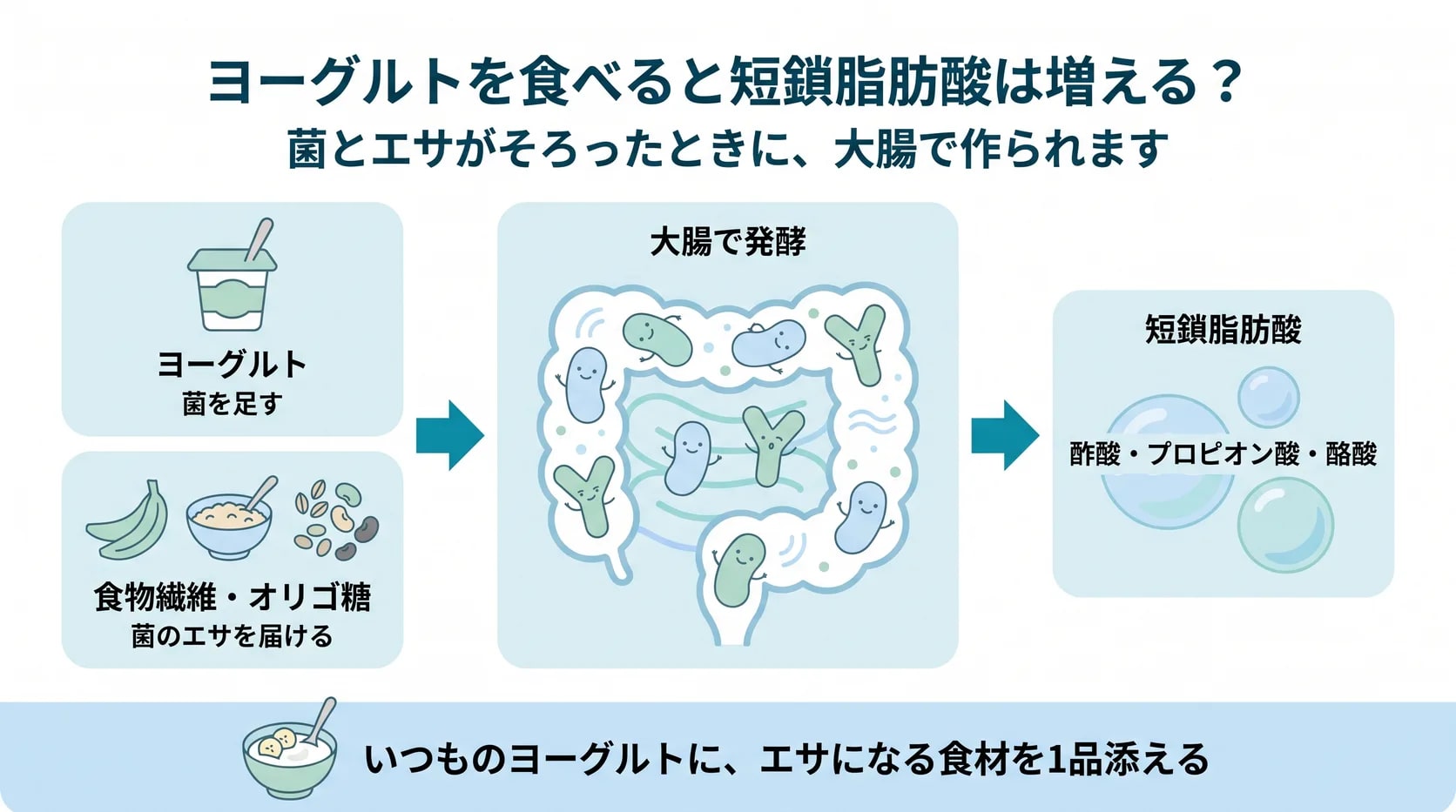 ヨーグルトが菌を足し、食物繊維やオリゴ糖を含む食品がエサを届け、大腸で酢酸・プロピオン酸・酪酸が作られる流れの図